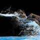 Image for article titled The Absurd Joy Of Waterslides Is Captured In These Perfectly Timed Shots